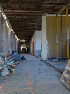 GRANDE GALERIE PAYSAGE