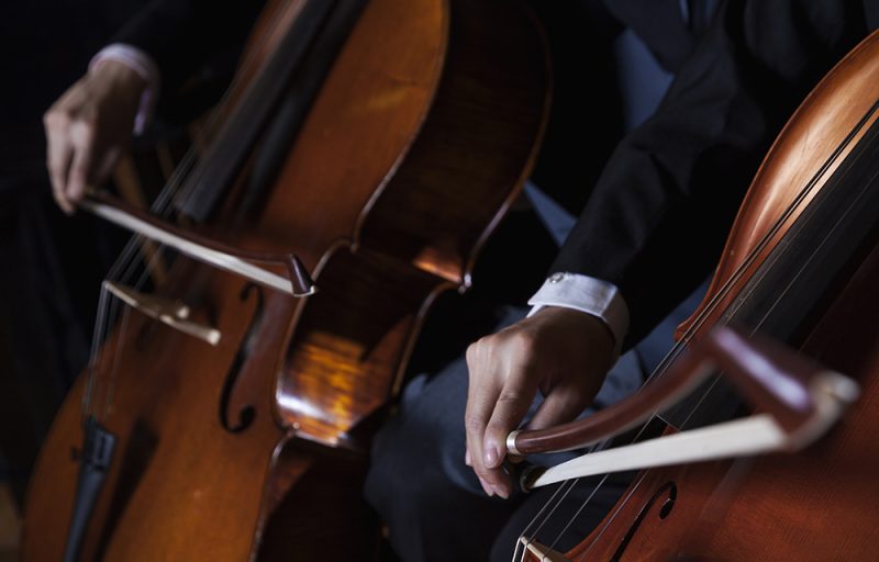 Close-up of midsection of two cellists playing the cello during a performance